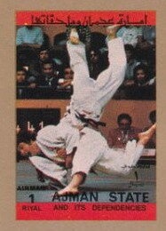 Moth (Nyctalemon achillaria)