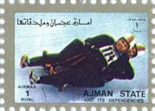 Scarabeus Beetle (Scarabeus sp.)