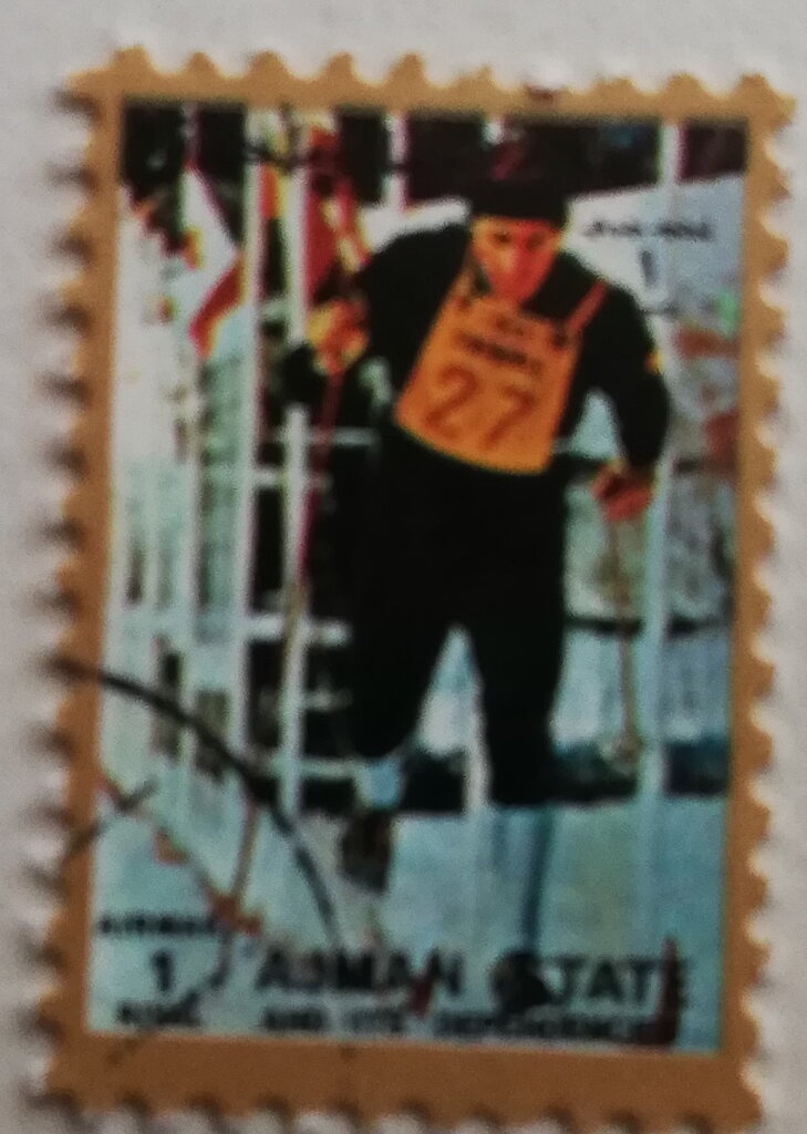 Sheik Rashid and Queen Angelfish (Holacanthus ciliaris)