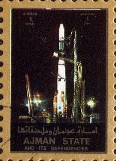 Dianthus caryophylus