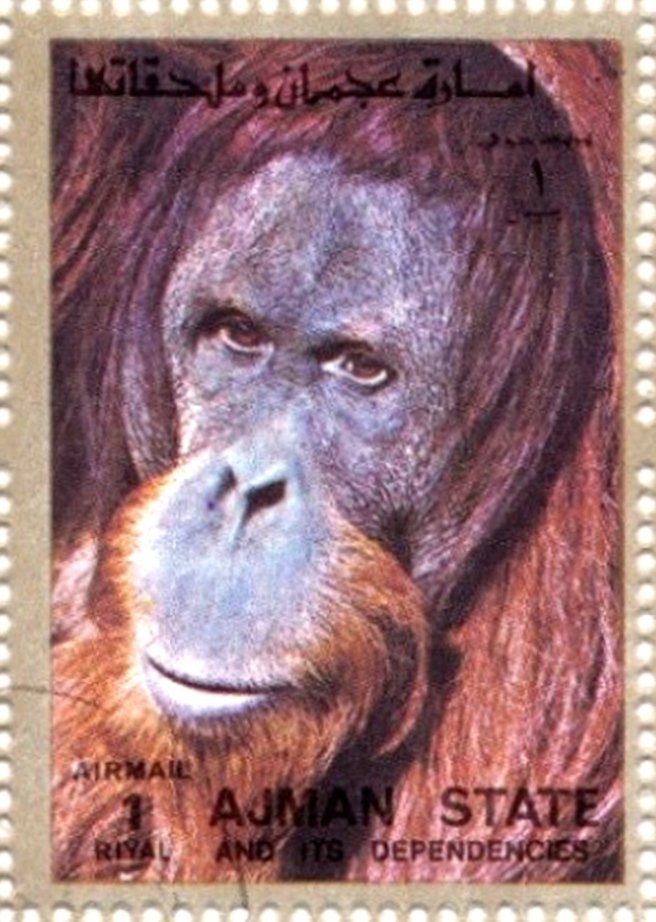 Stamp of Mauritius - opt new currency