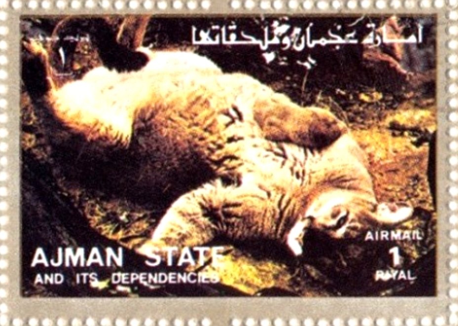 Apollo 11, Armstrong, Aldrin, Collins