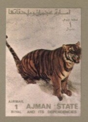 Pelmatochromis kribensis