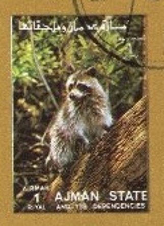 Castel Sant'Angelo (Castle of the Holy Angel)