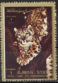 Spotted Hyaena (Crocuta crocuta)