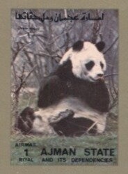 Butterfly, Luzon Bleeding-heart Pigeon