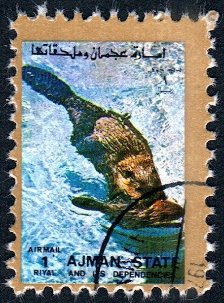 View of Hama overprinted