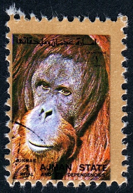 Adoration of the Shepherds by Georges de la Tour