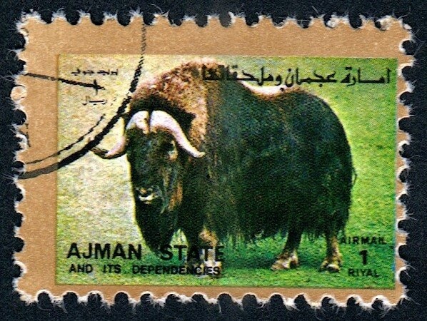 The Adoration of the Kings