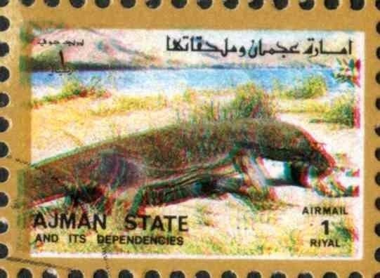 Sheik Rashid and Dromedary (Camelus dromedarius)