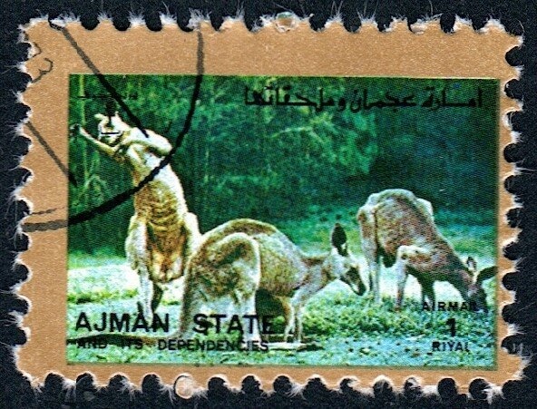 Adoration of the Magi