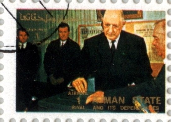 Moth (Nyctalemon achillaria)