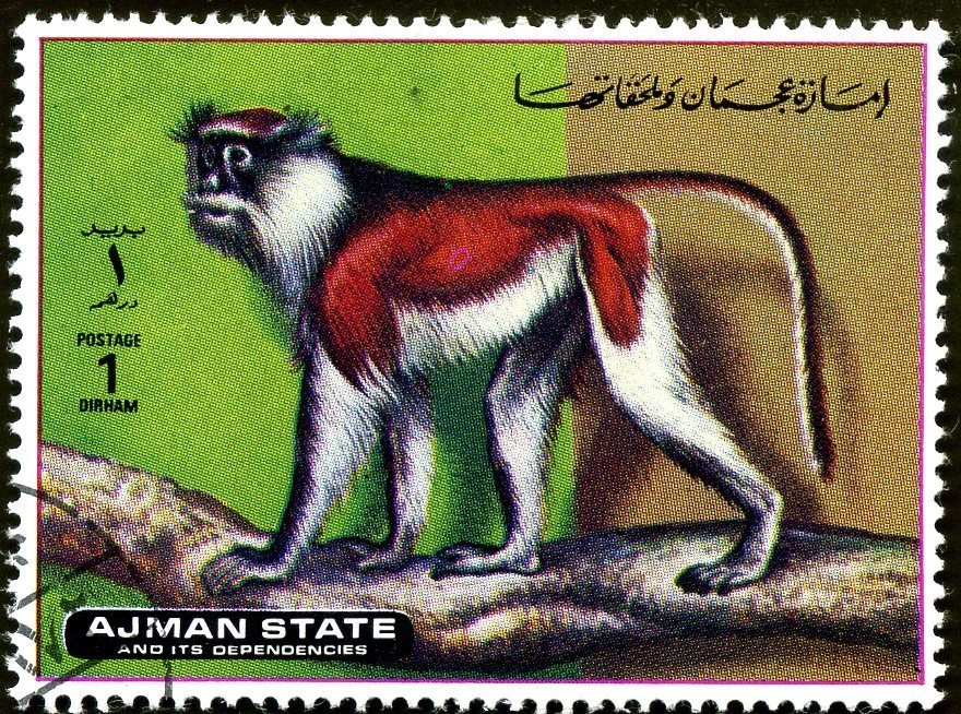 Lake Butrinto overprinted in black