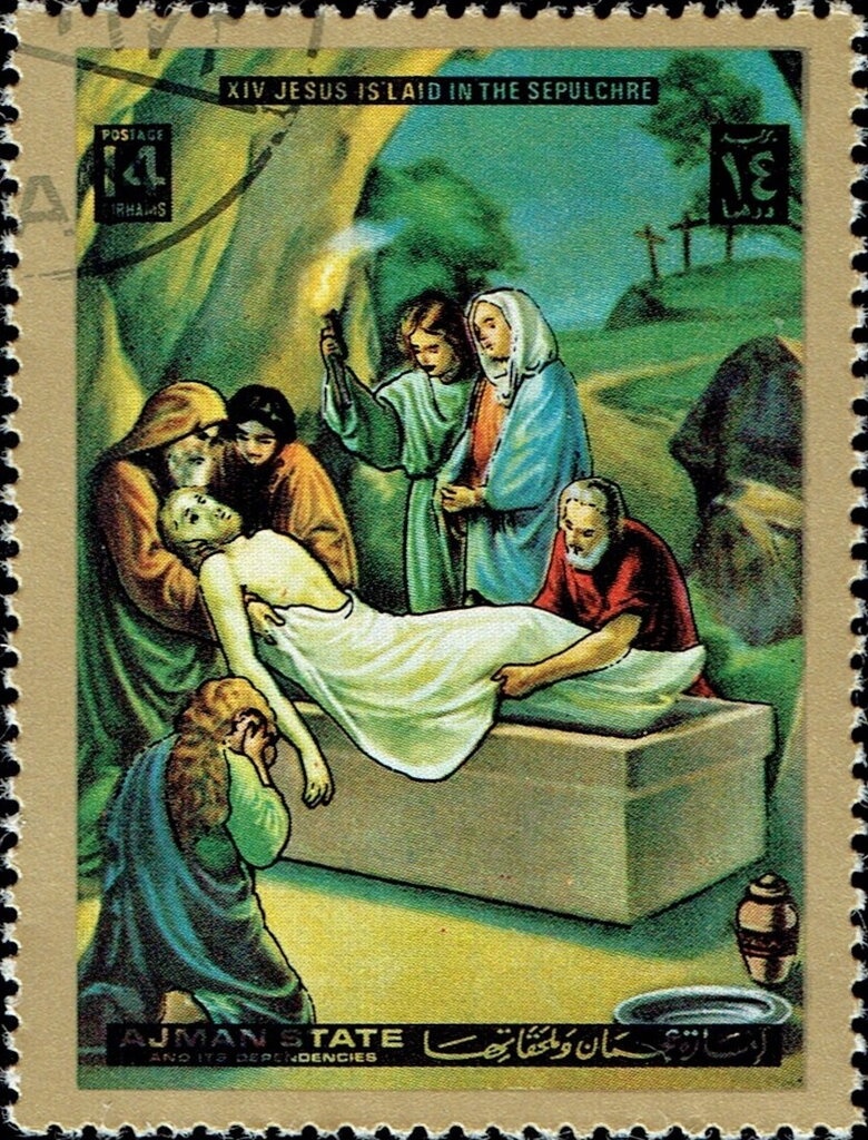 Northern pintail (Anas acuta)