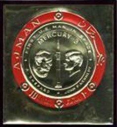 Pacific brant (Branta bernicla nigricans)