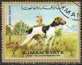 Moth (Erasmia sanguifiua)