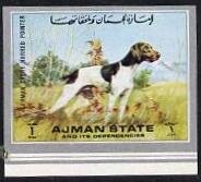 Garde D`honneur -Perou