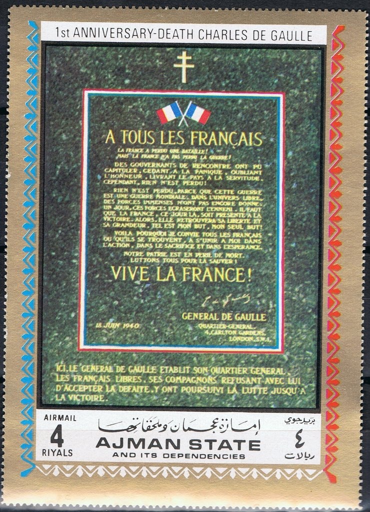 Blue Nile patas monkey (Erythrocebus poliophaeus)