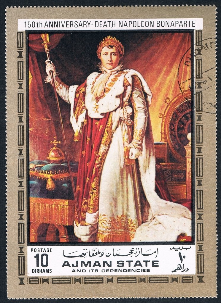 Vervet monkey (Chlorocebus pygerythrus)