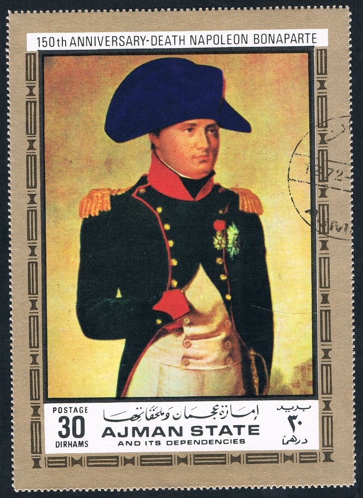 Northern pintail (Anas acuta)