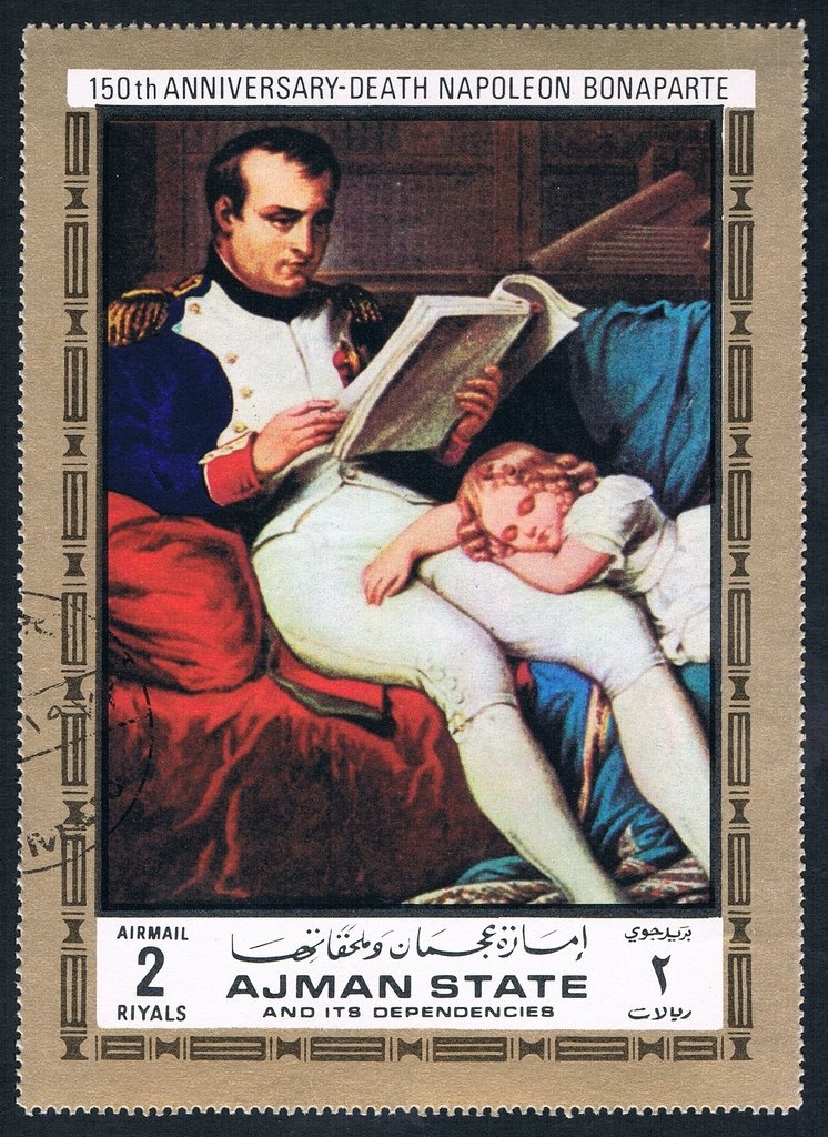 Spotted Hyaena (Crocuta crocuta)