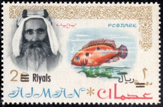 View of Gjirokastër