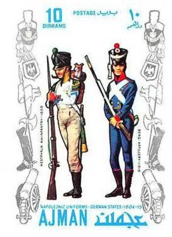 Arabian Camel (Camelus dromedarius)