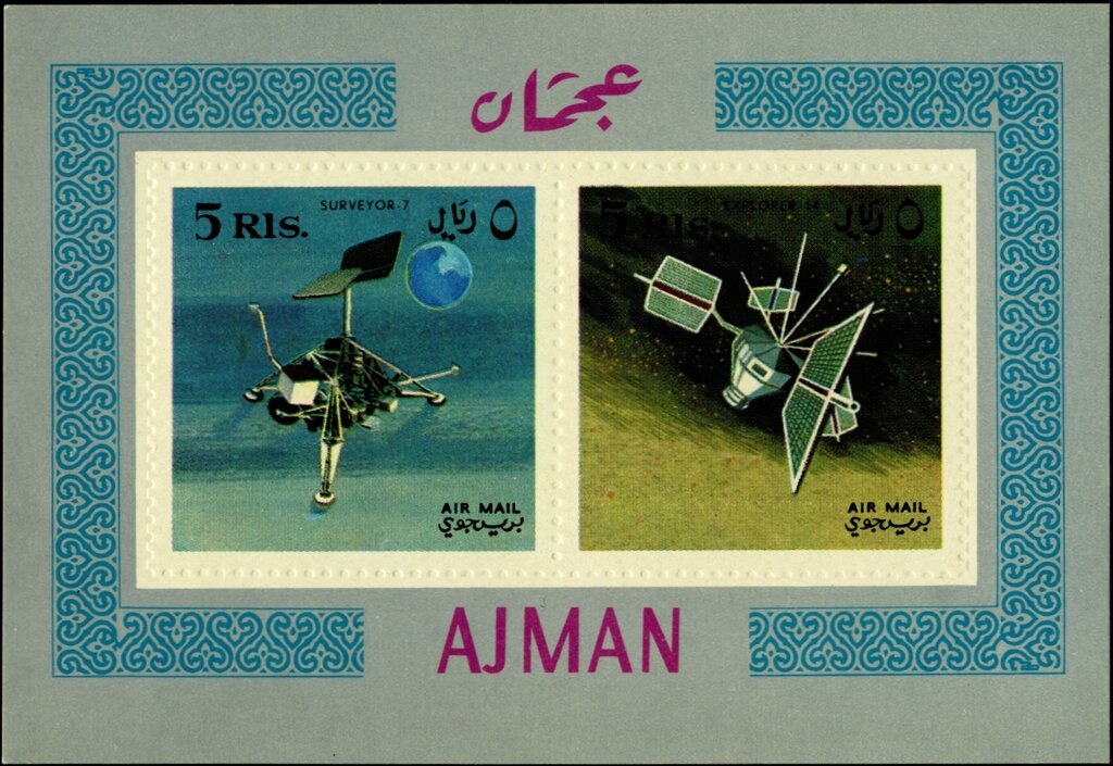 Dido Longwing (Metamorpha dido)