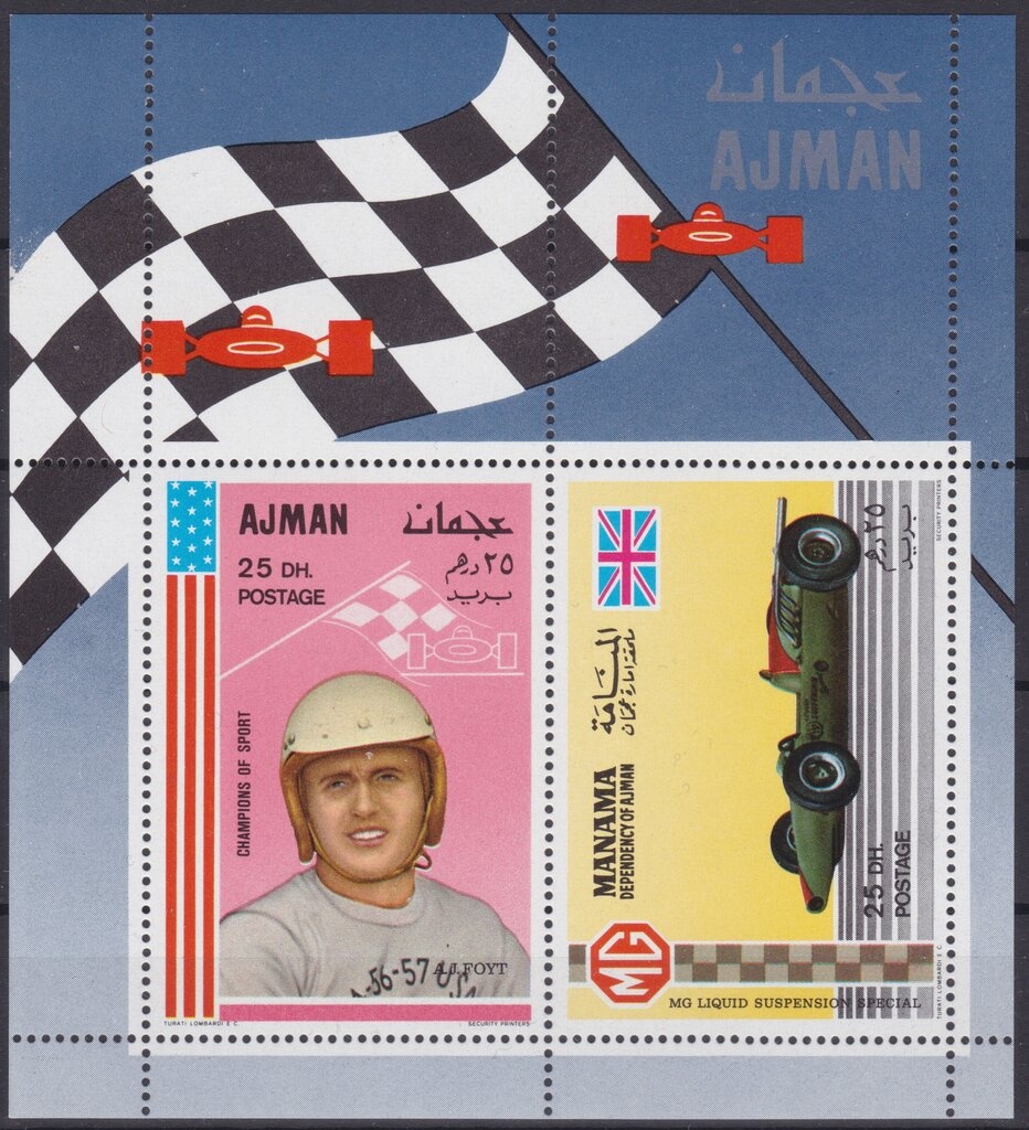 Guanaco (Lama guanicoe)