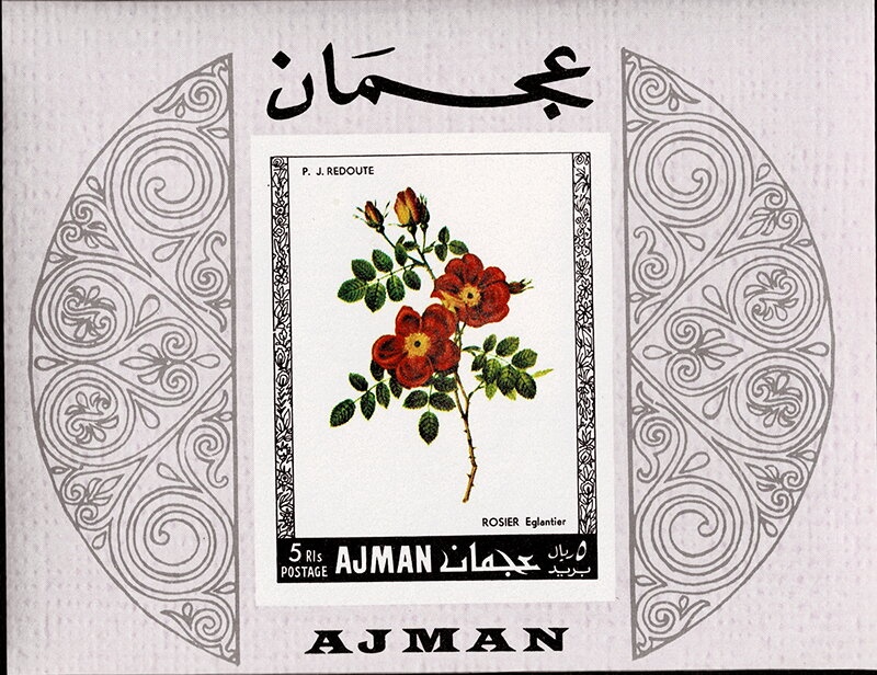 Palmyra (Tadmur) overprinted