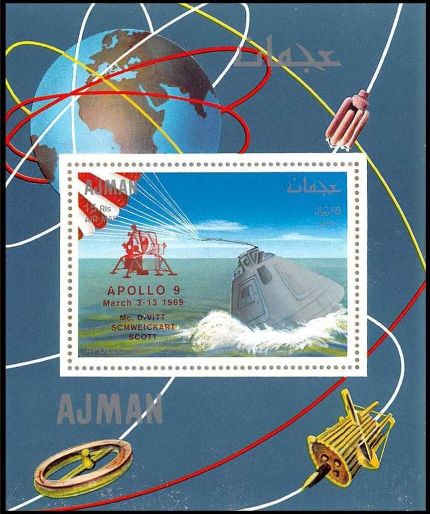 Dido Longwing (Metamorpha dido)