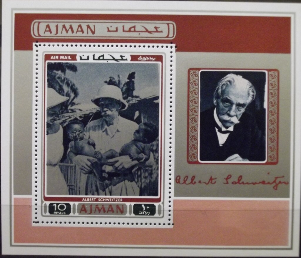 Eurasian Coot (Fulica atra)