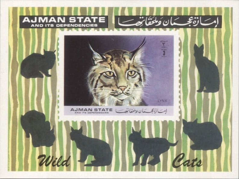 "L'enlèvement des filles de Leucippe" by P.P. Rubens