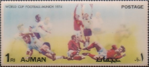 Orchard Swallowtail (Papilio aegeus)