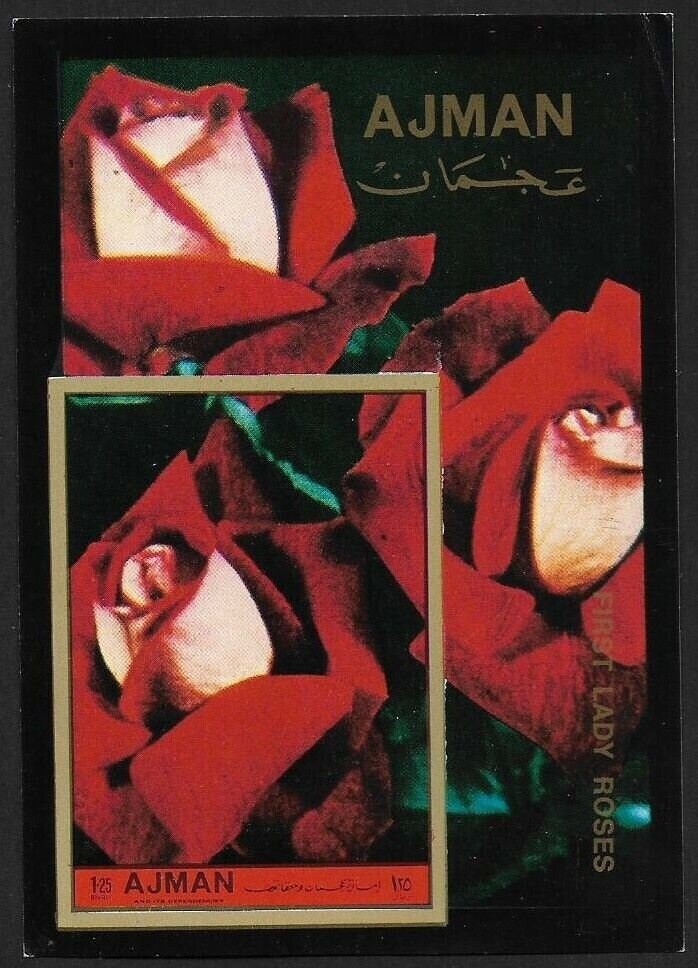 Butterfly (Papilio zagreus)