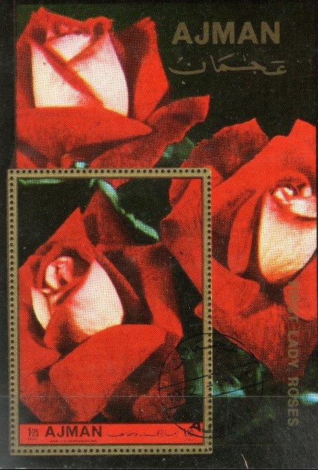 Trumpet Lily (Lilium aurelianense)