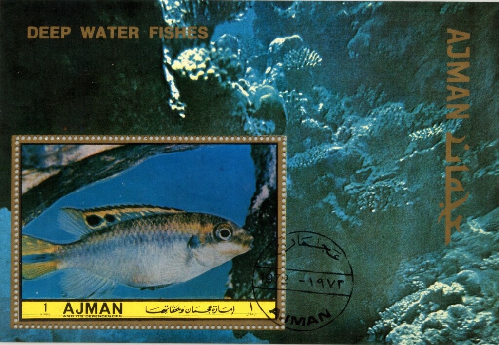 European Bee-eater (Merops apiaster)