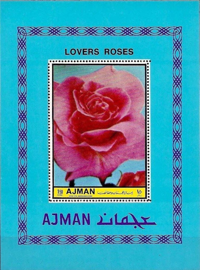 Northern pintail (Anas acuta)