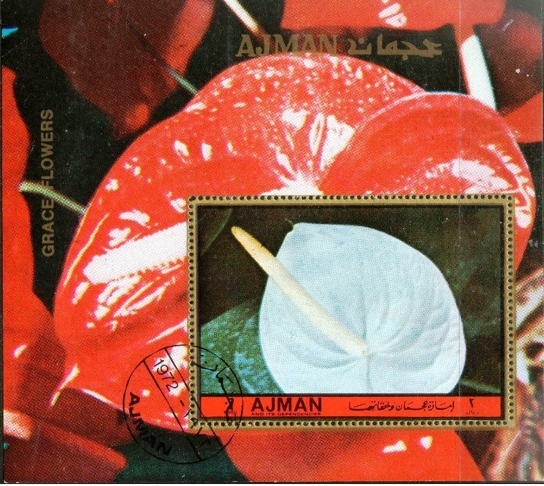 Khrushchev and Kennedy