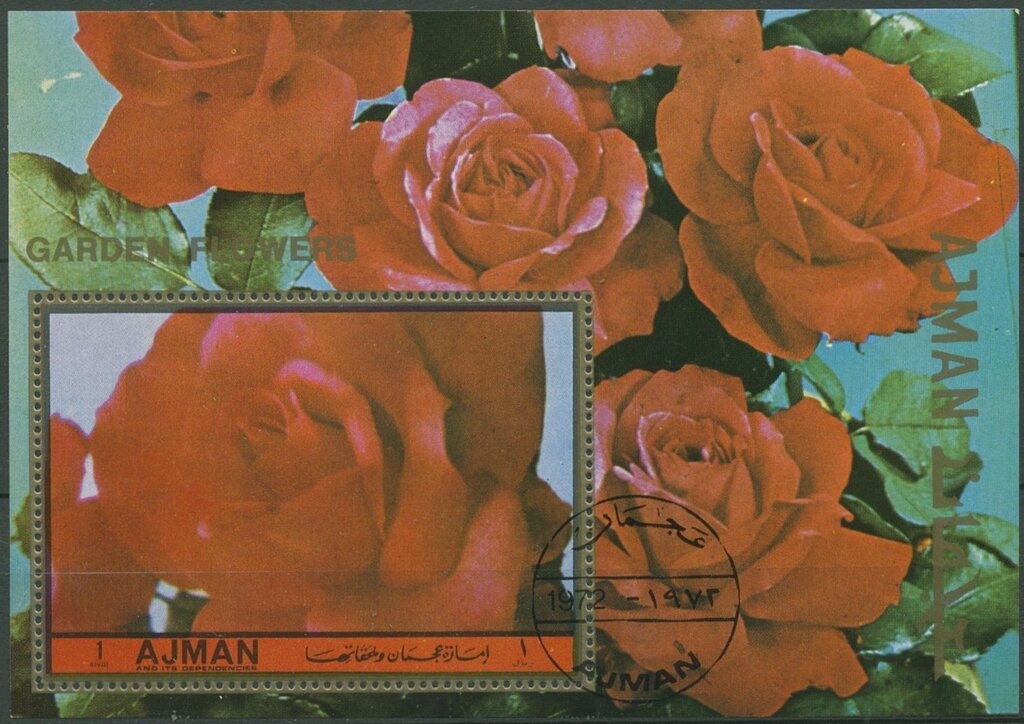 Black scoter (Melanitta americana)