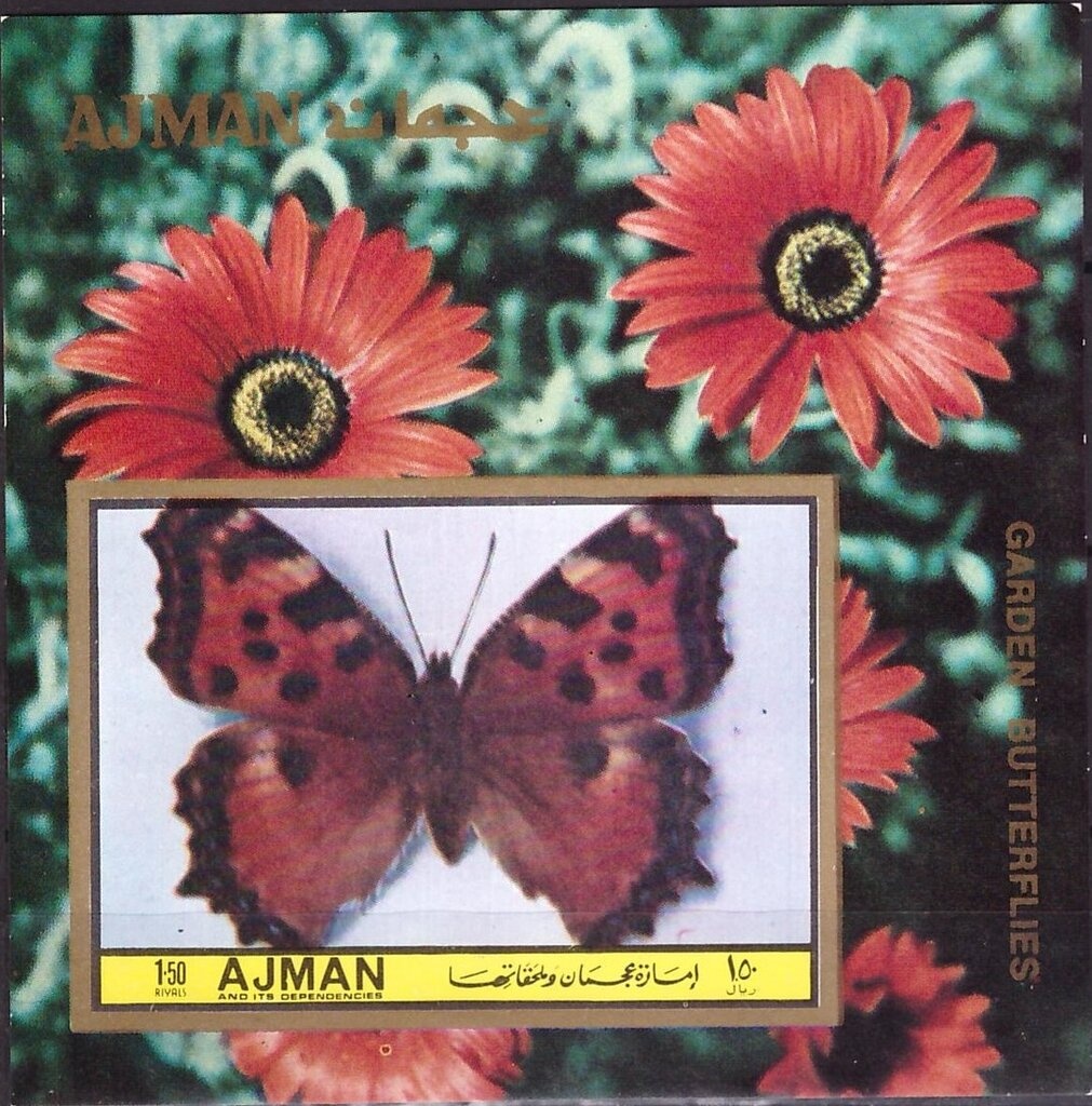 Circle of the zodiac