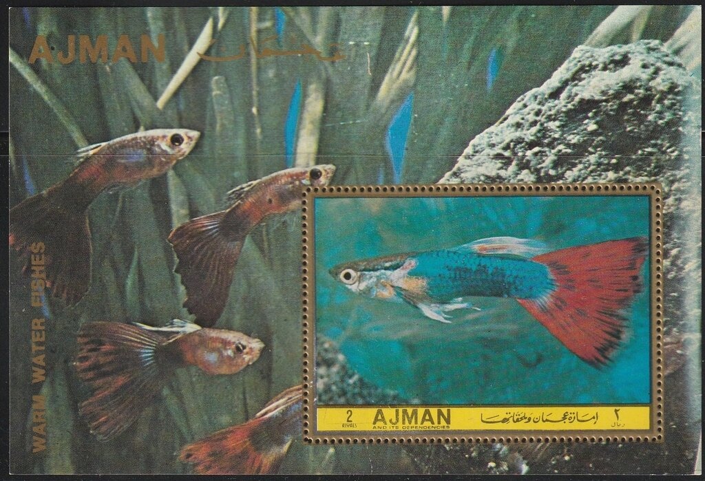 Ismail Qemali (1844-1919), leader of the Albanian movement