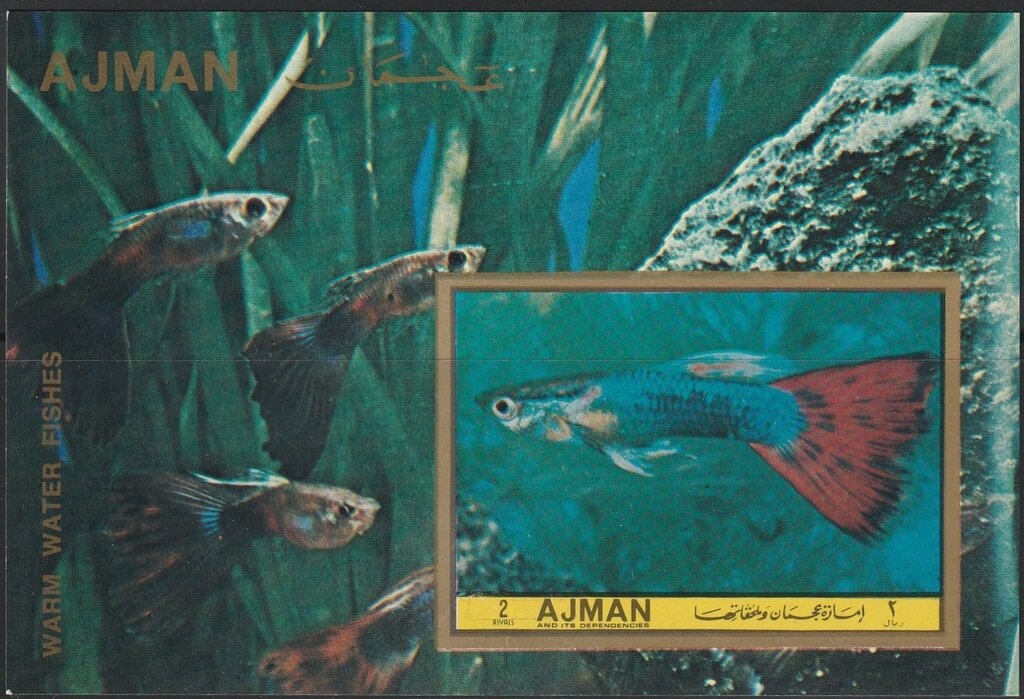 Football Game and Globe as Ball