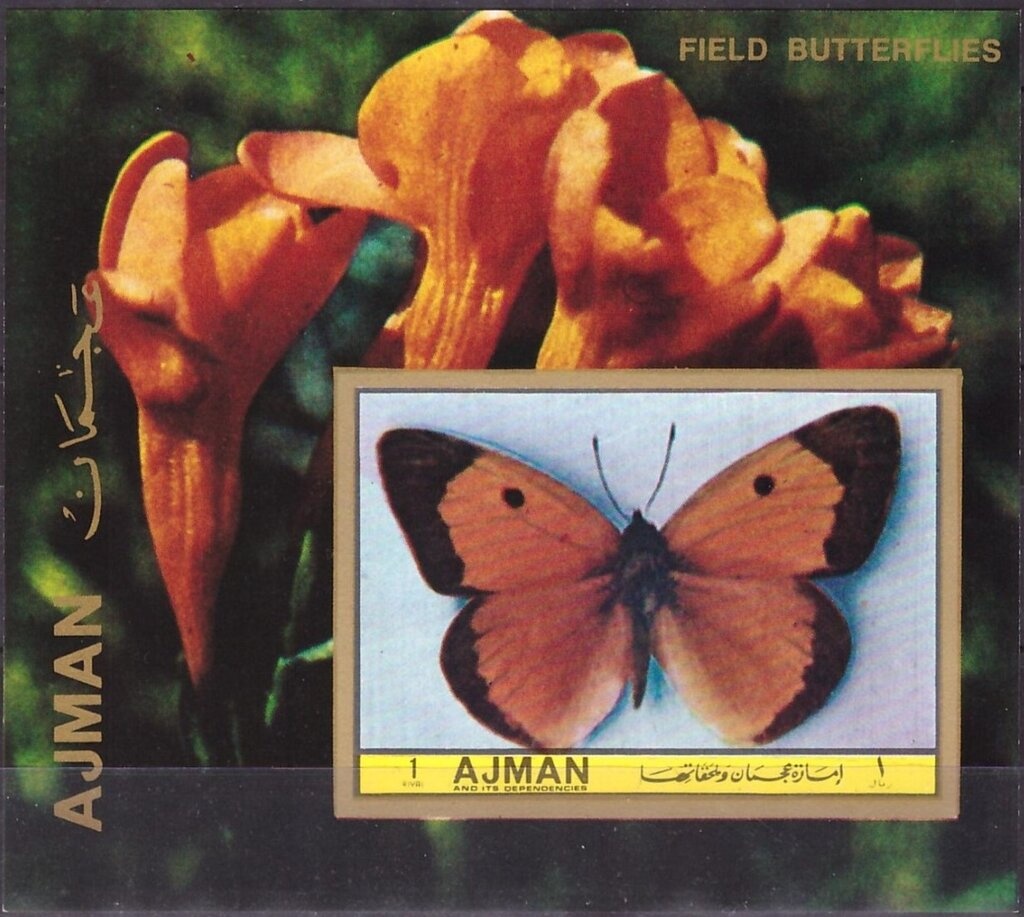 Parachutiste - Senegal