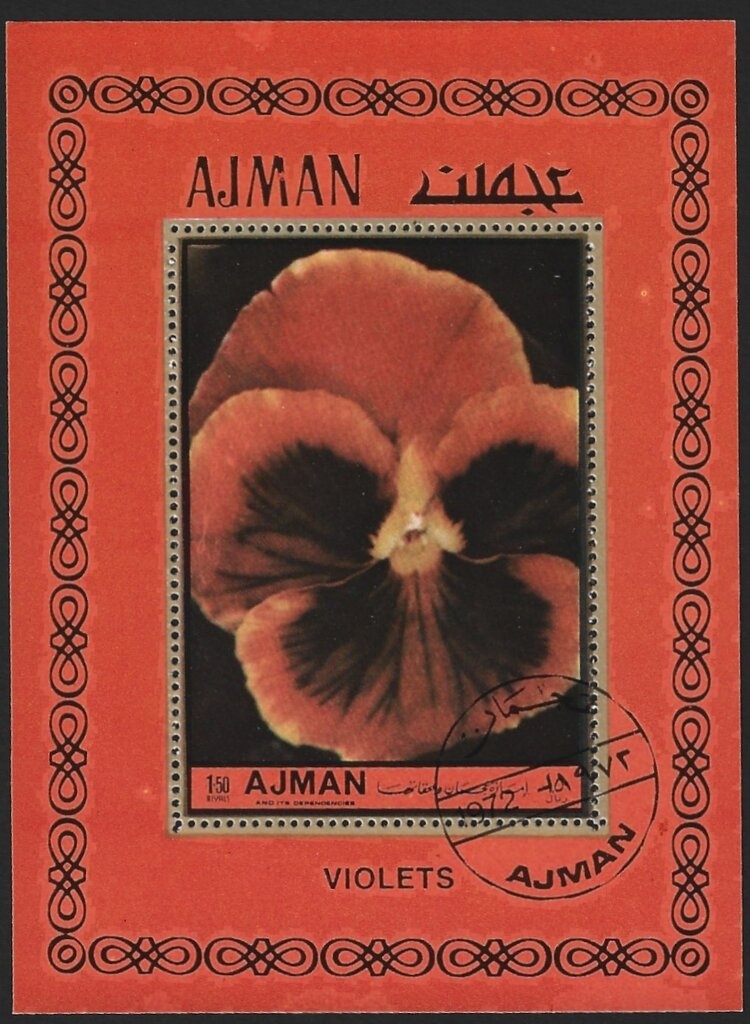 Sheik Rashid and Queen Angelfish (Holacanthus ciliaris)