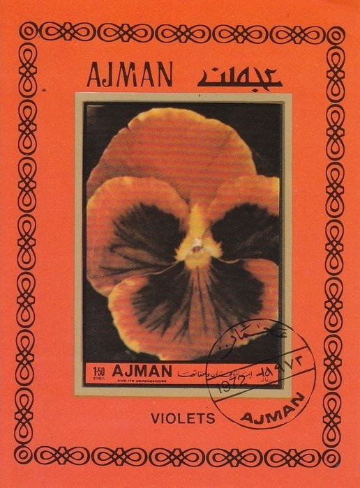 View of Aleppo overprinted