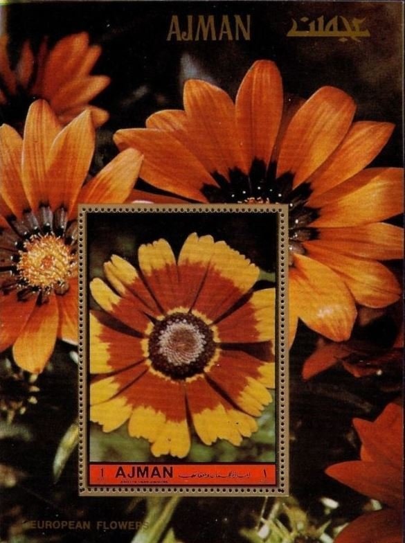 Cross-Country Skiing