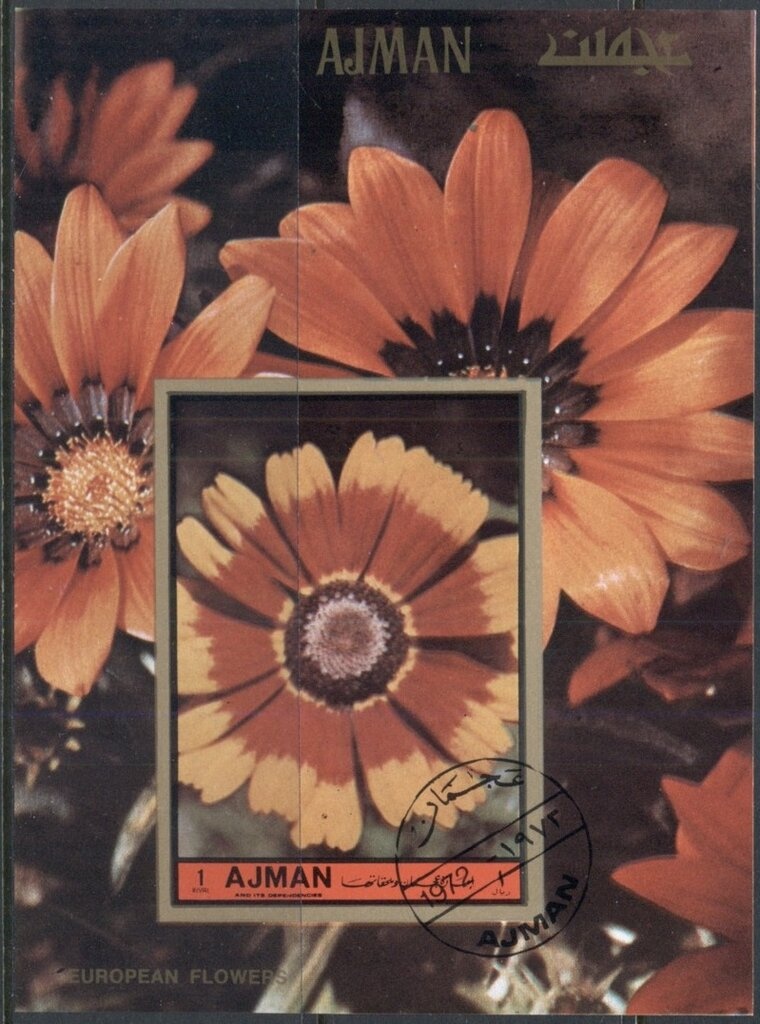 Malaysin Albatros (Saletara obina)