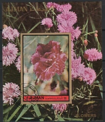 "Transfer of the relics of St. Mark"