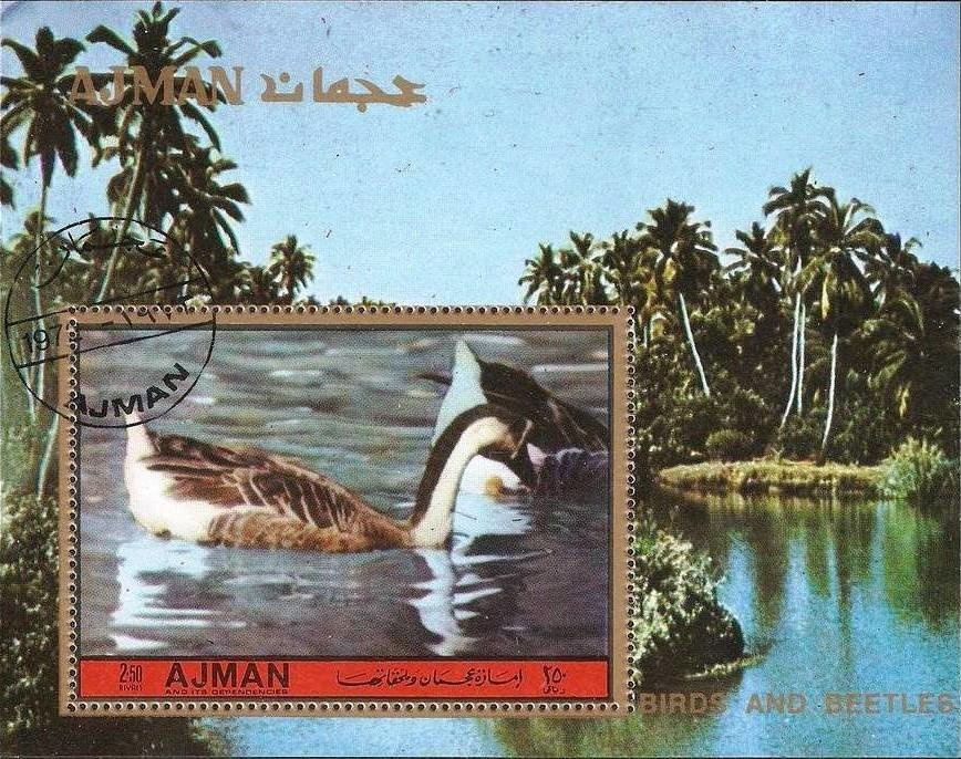 Giant Panda (Ailuropoda melanoleuca)